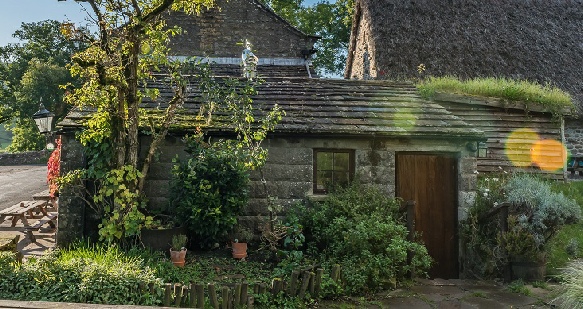 Kitchen Herb Garden